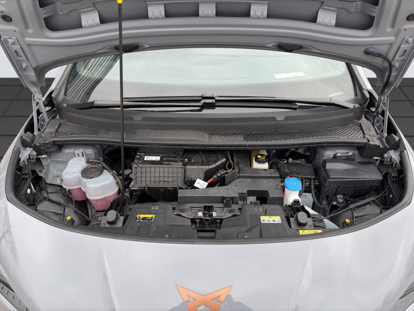 Born 150kW LED ACC 360°Kamera ParkLenkAssist Sitzheizung