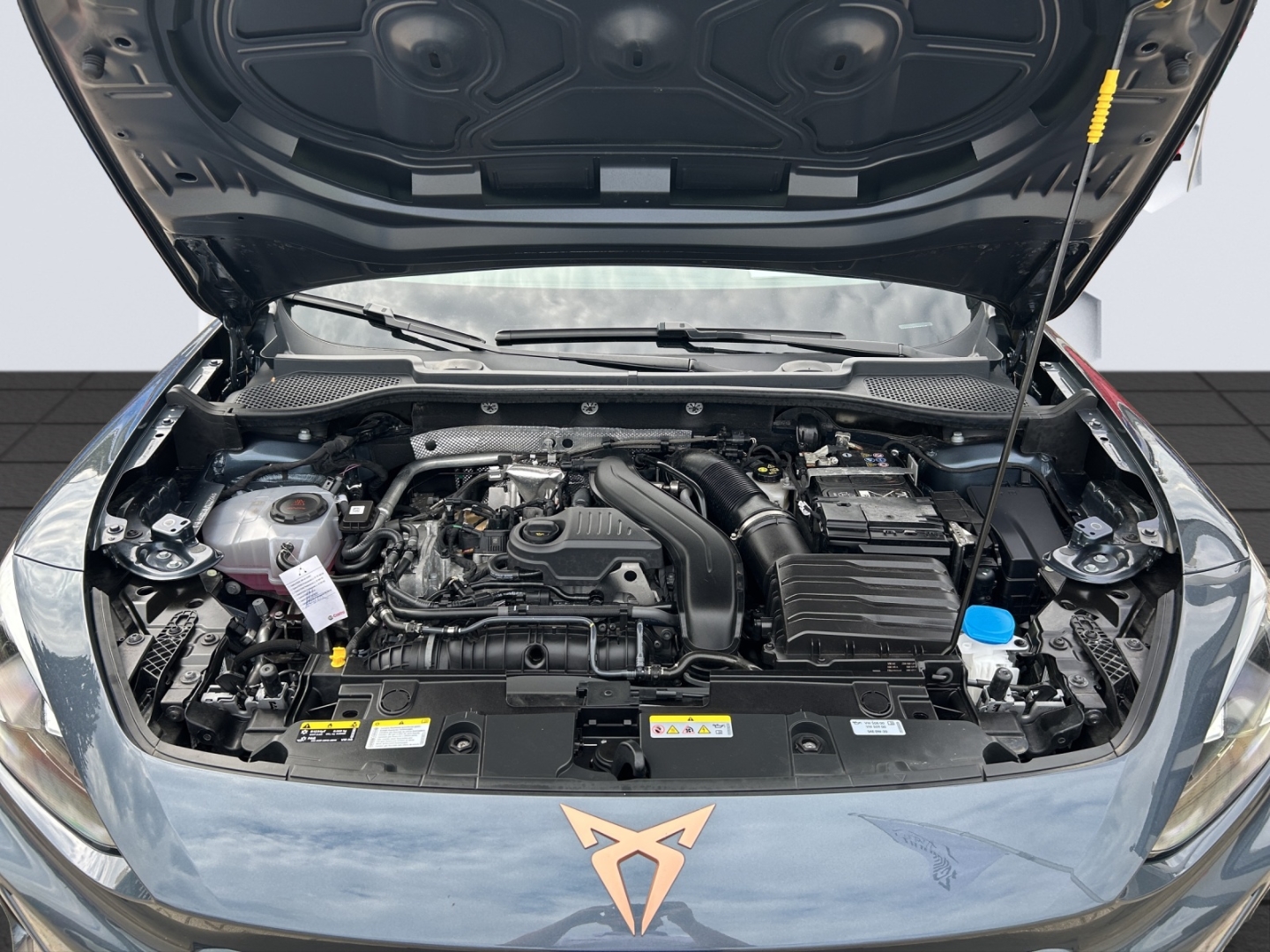 Formentor 1.5 eTSI 7-Gang DSG MatrixLED Rückfahrkamera Sitzheizung