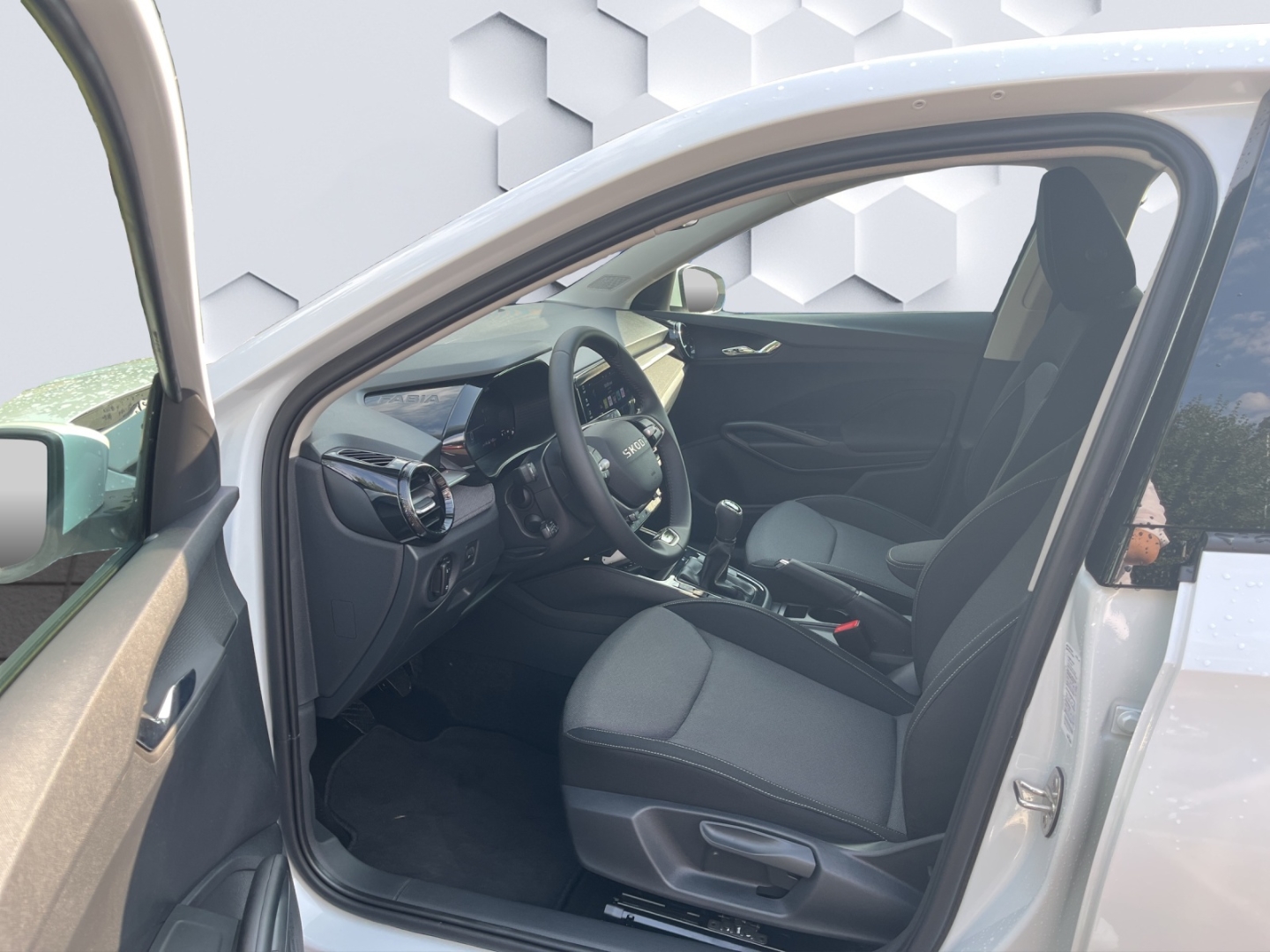 Fabia Selection AHK-abnehmbar LED Sperrdiff. ACC Apple CarPlay Android Auto Mehrzonenklima